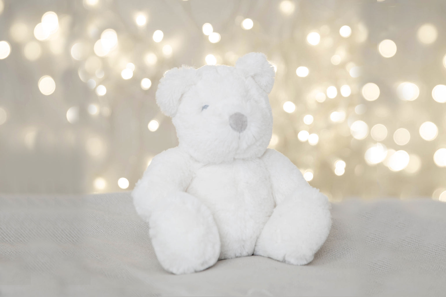 Little white teddy clearance bear